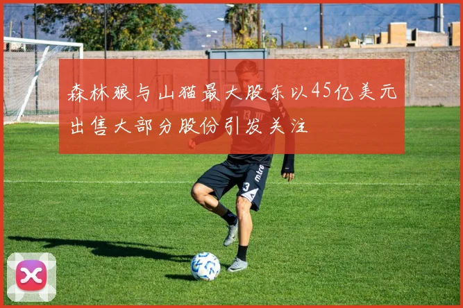 森林狼与山猫最大股东以45亿美元出售大部分股份引发关注